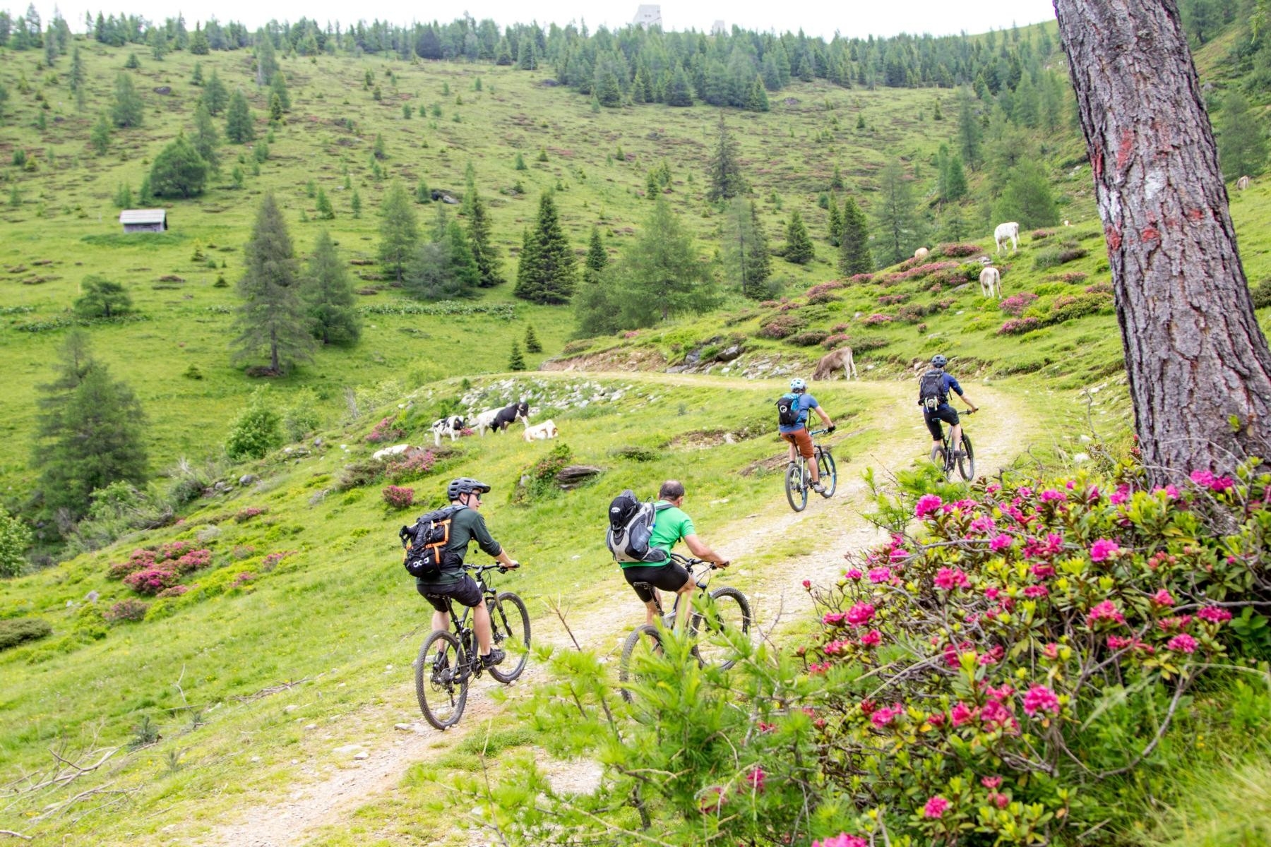 Gondel, zwei Gipfel und 2000 Tiefenmetern in den Nockbergen