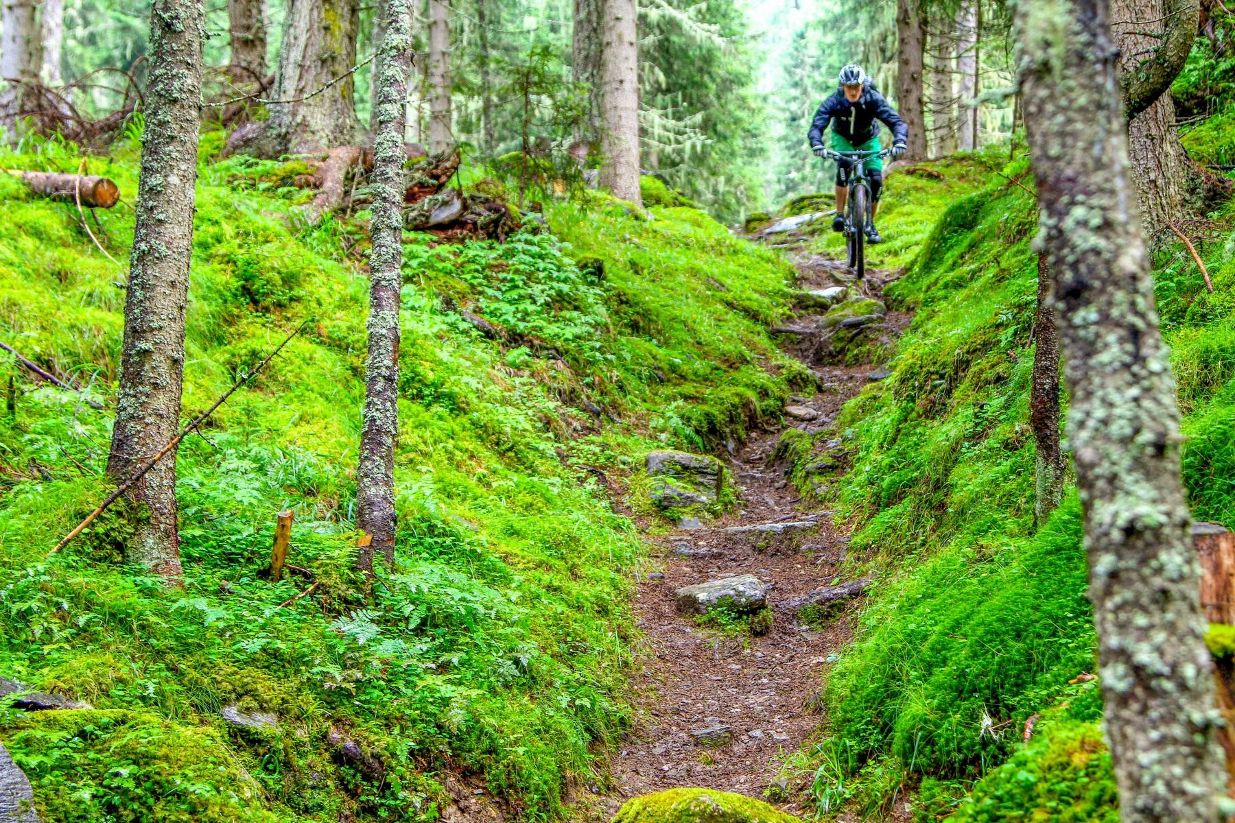 Singletrail Genuss mit Gondel, zwei Gipfel, Hütten und 2100 Tiefenmeter [1/3] 