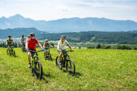 16 Seen und Teiche Tour mit MTB oder E-MTB [1/10]