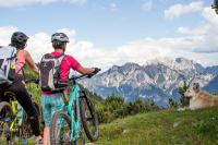 Trails mit wildem Gipfelbunker in Italien und Kulinarik [4/4]